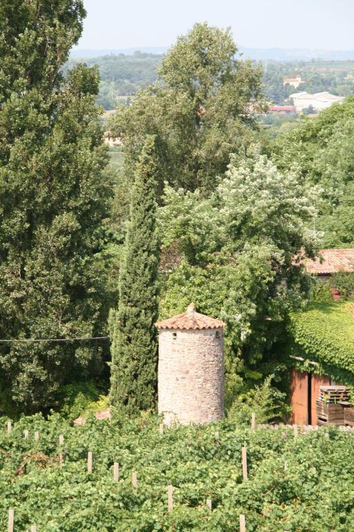 Agriturismo Corte Marzago Salionze エクステリア 写真